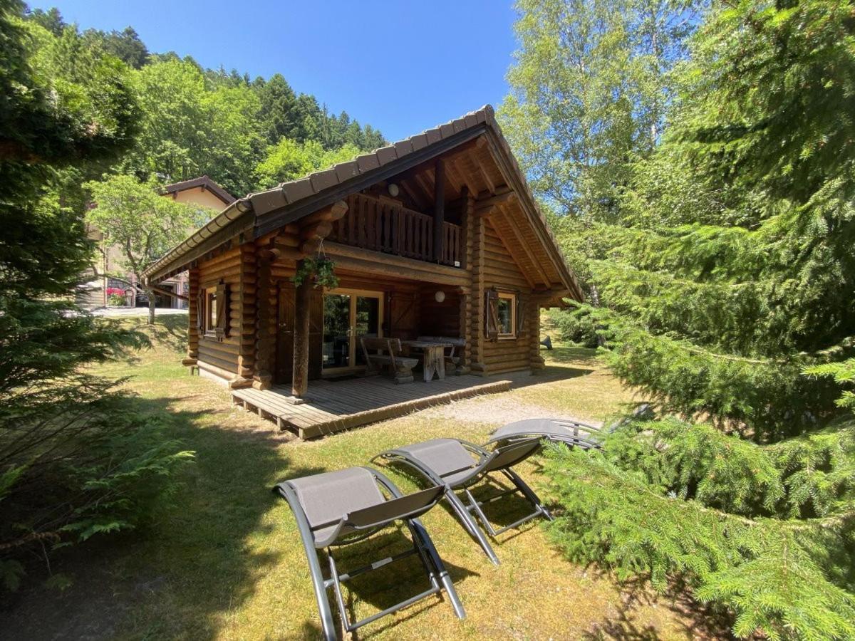 L'Ours Noir Chalet En Rondins La Bresse Bagian luar foto