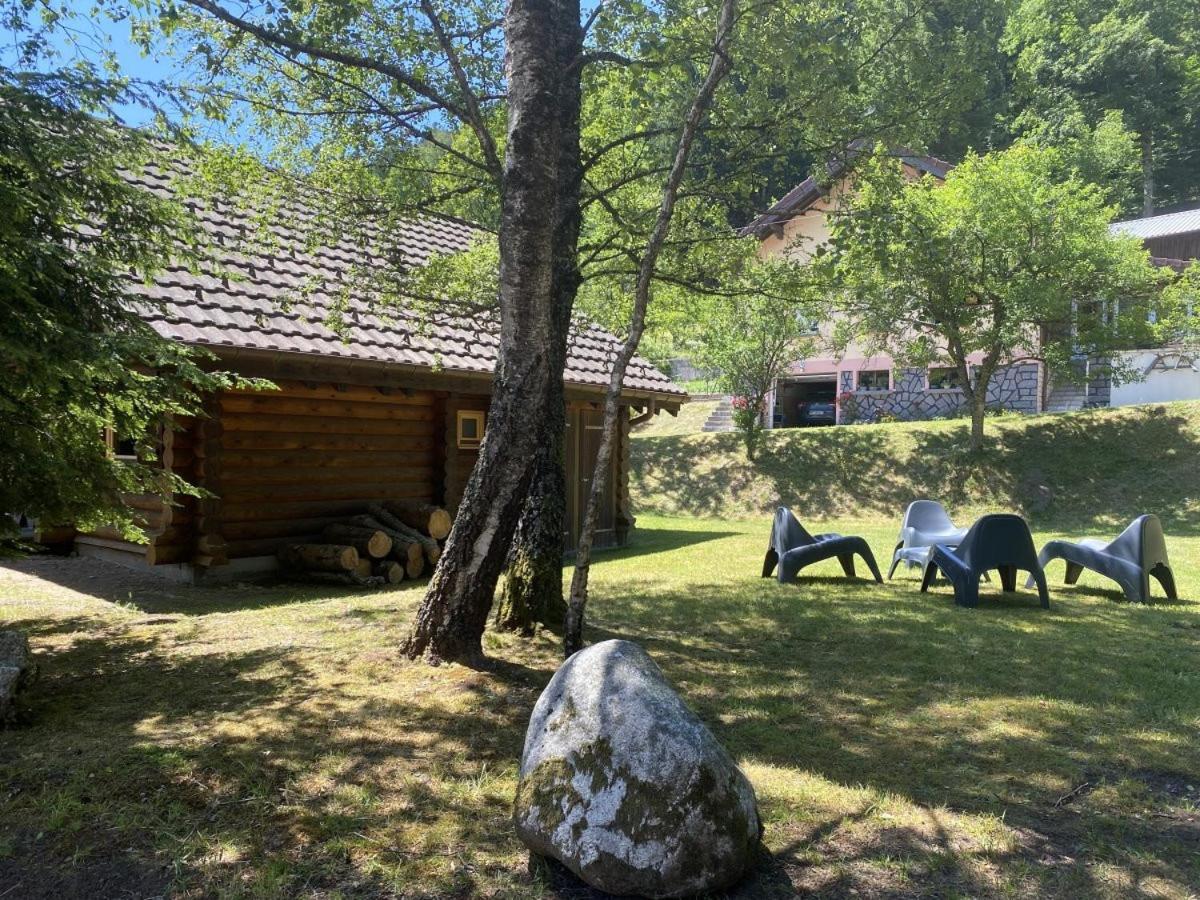 L'Ours Noir Chalet En Rondins La Bresse Bagian luar foto